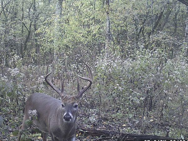 0 Lane Branch Rd , Fayetteville, TN 37334