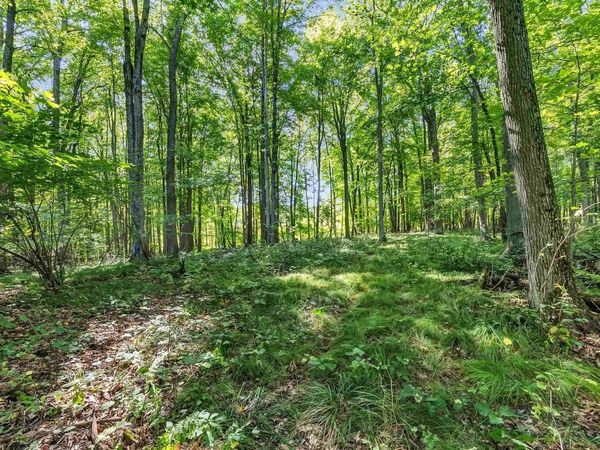 N WEST HILL ROAD, Iola, WI 54945