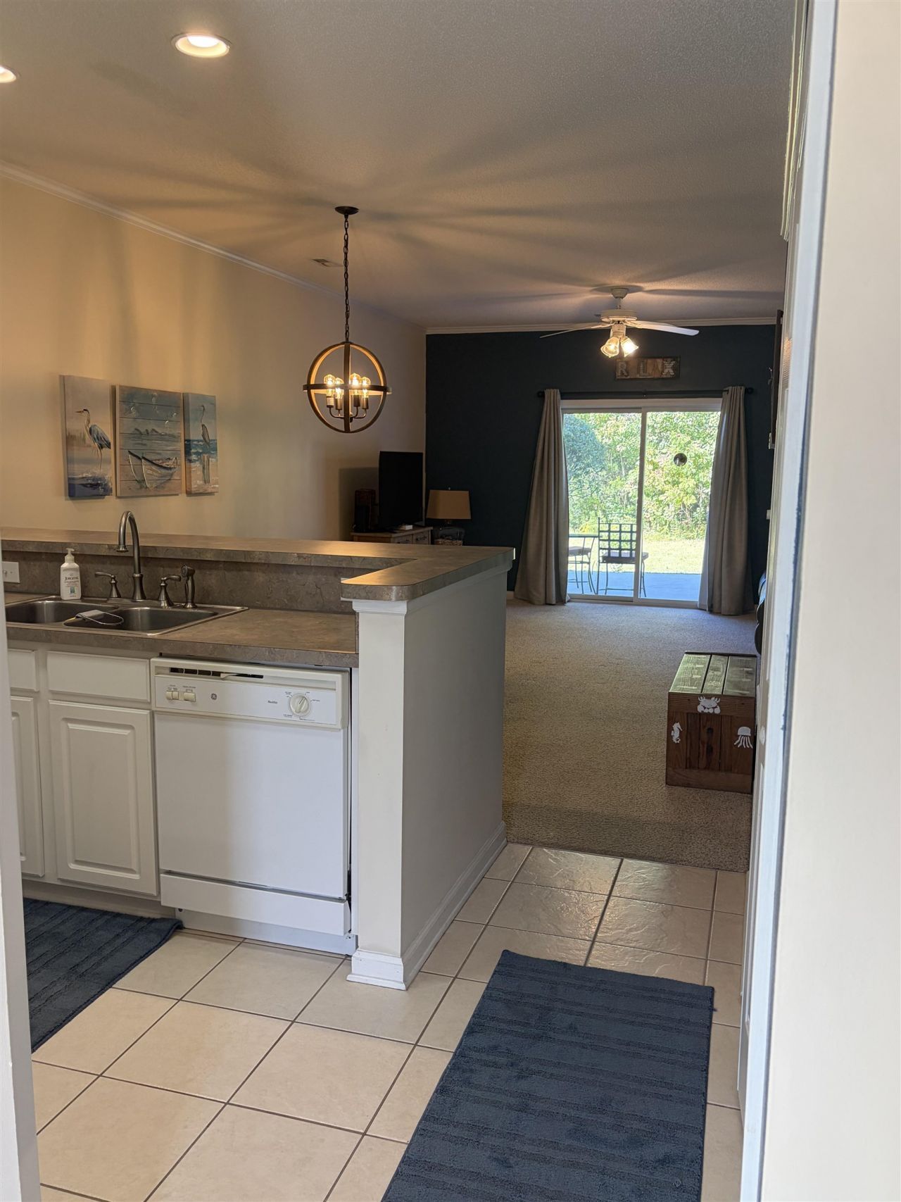 130 Scotch Broom Dr. Photo 4