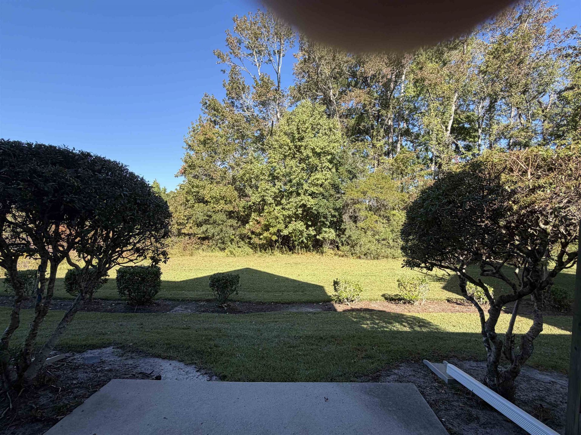 130 Scotch Broom Dr. Photo 54