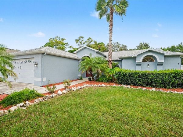 6293 GRAPEWOOD ROAD , SPRING HILL, FL 34609