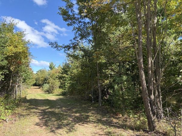 XXX Bluebird Trail, Webster, WI 54893