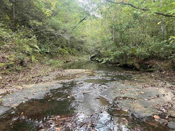 1688 Peyton Mountain Rd., Dennard, AR 72629