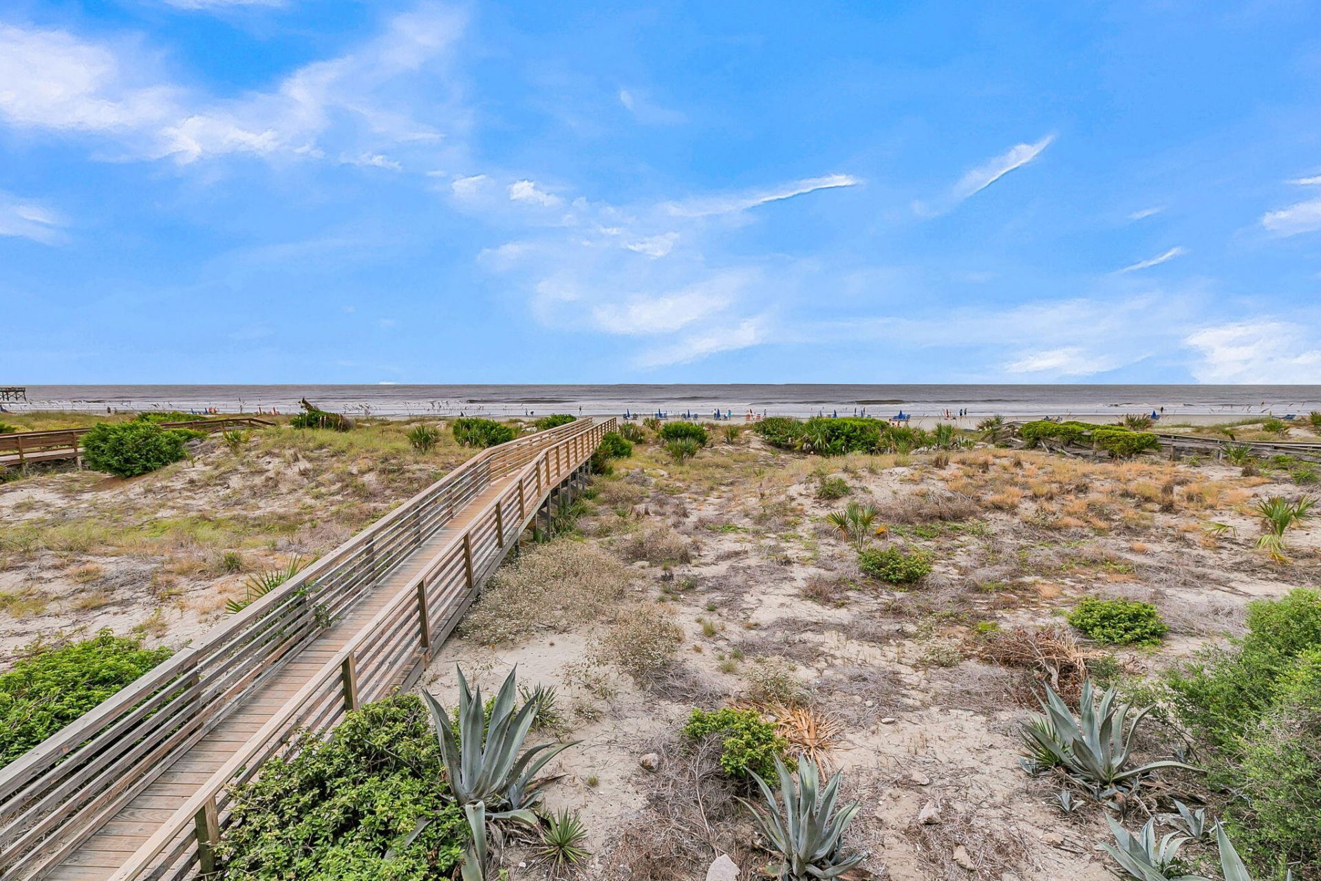 1126 Ocean Boulevard Photo 4