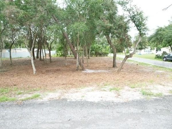 LUELLA AVENUE , PAISLEY, FL 32767