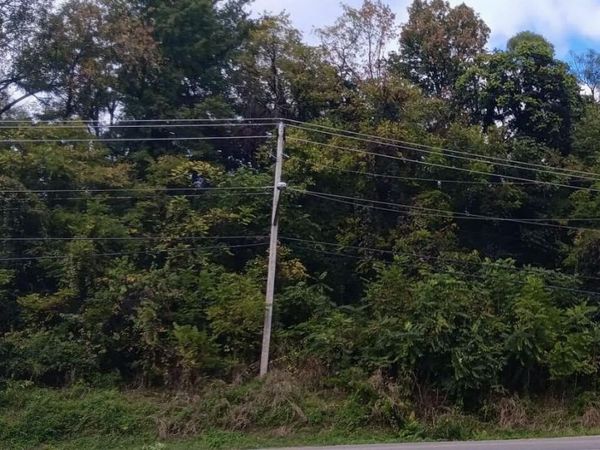 0 Brandon AVE SW, Roanoke, VA 24015