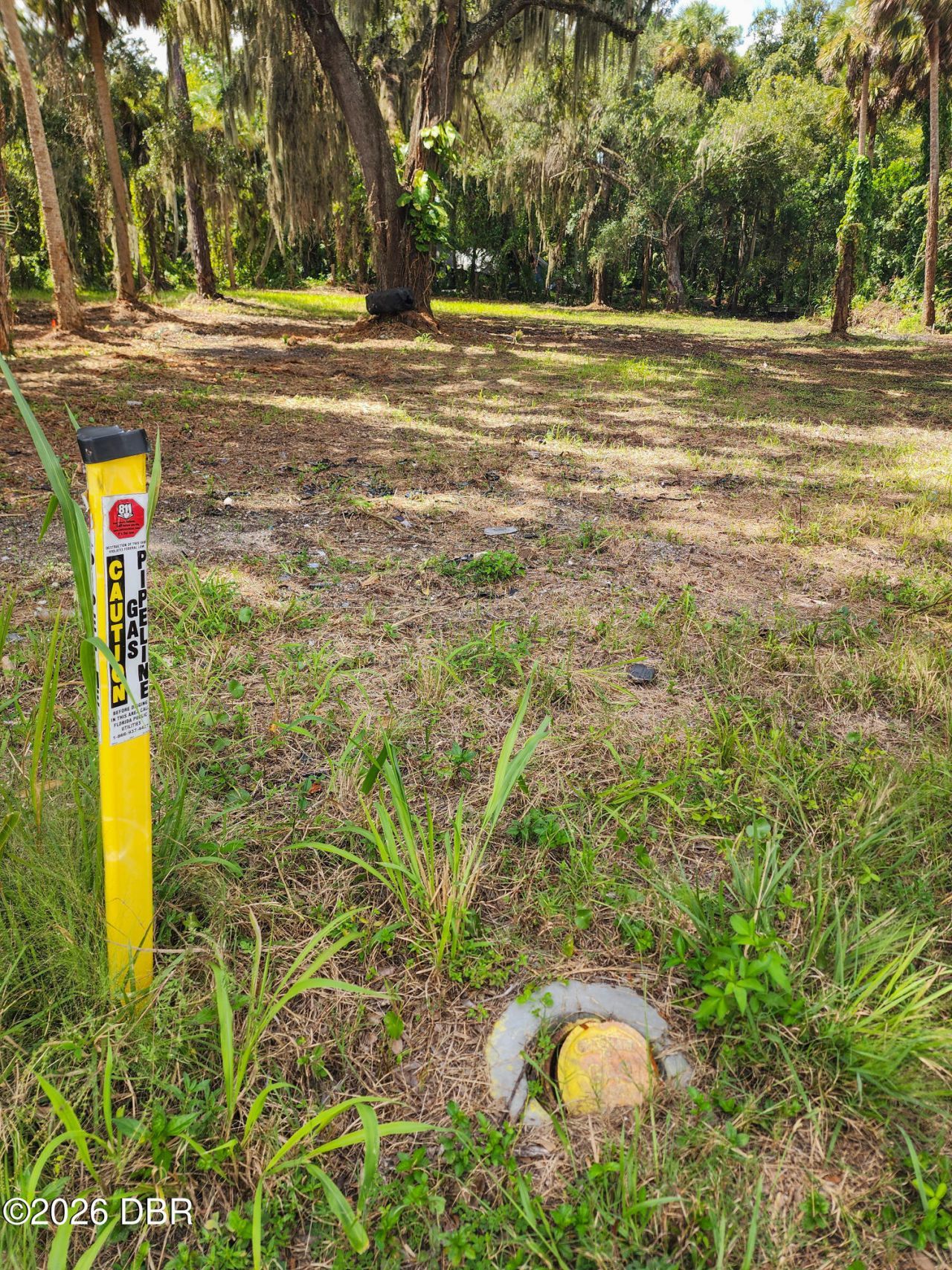 320 Ingham Road, New Smyrna Beach, FL 32168 Photo