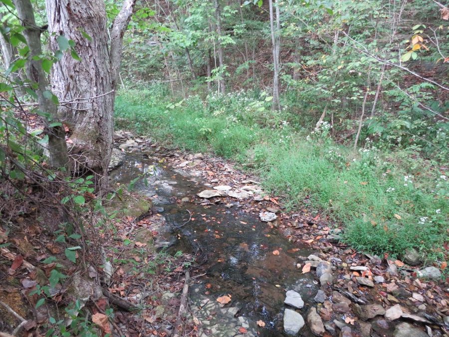 Property Image 11