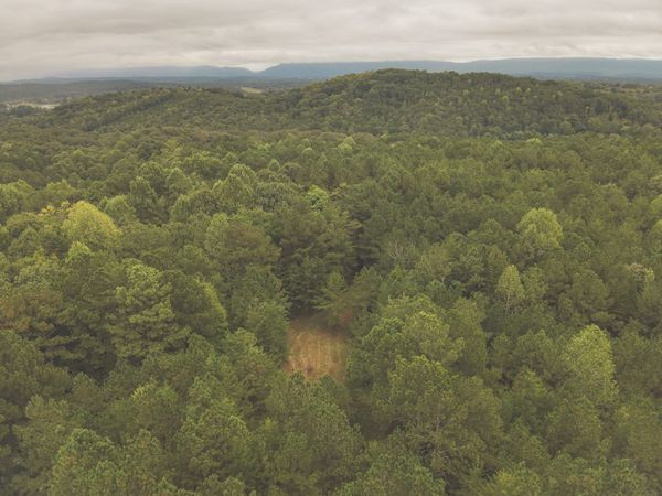 0 Deer Ridge Trail , Charleston, TN 37310
