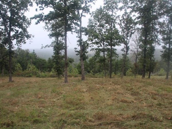 131 MC 5039 , Valley Springs, AR 72682