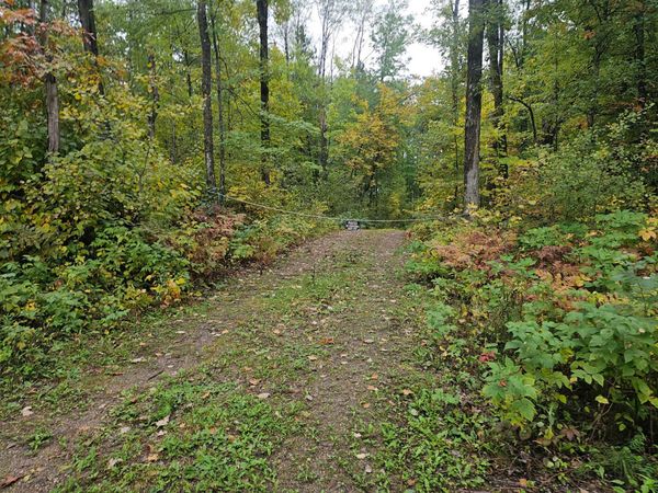 20012 Nature Trail , Ironton, MN 56455