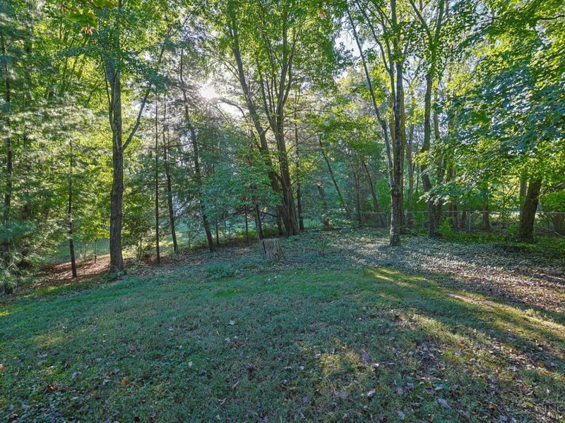 3531 Sodom Road, Hamersville, OH 45130 Photo 32