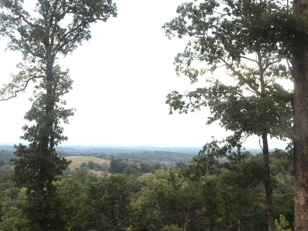 131 MC 5039, Valley Springs, AR 72682