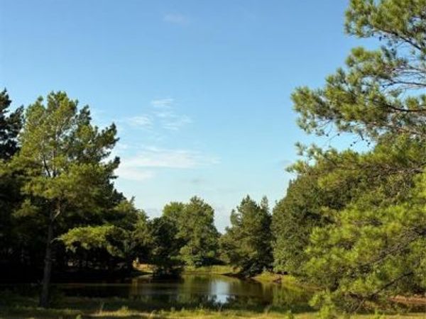 8965 N Us HWY 59 , Woodlawn, TX 75670