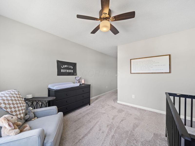 776 Fescue Road, Galena, OH 43021 Photo 58