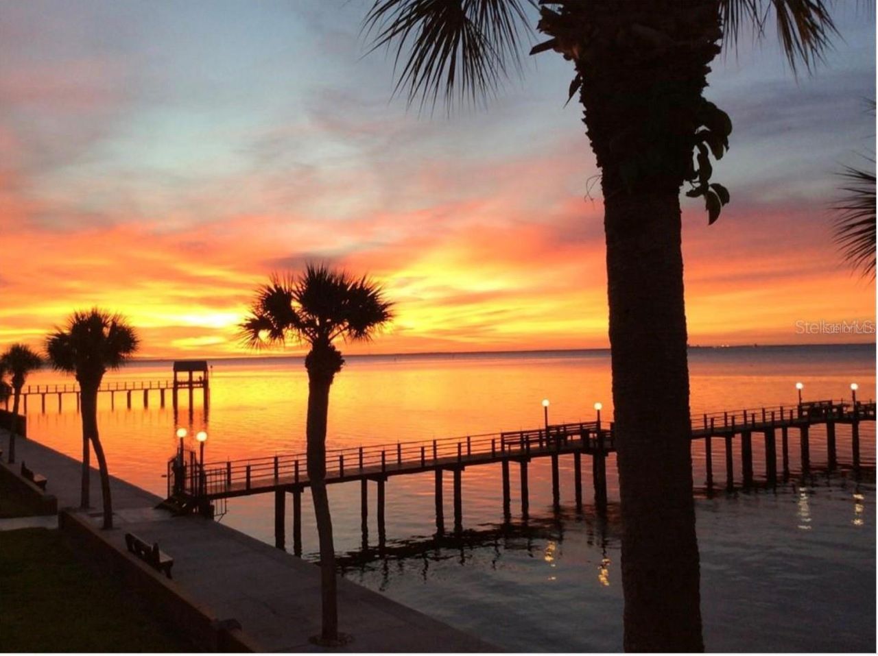 650 Pinellas Point Drive S, Unit 240, Saint Petersburg, FL 33705 Photo