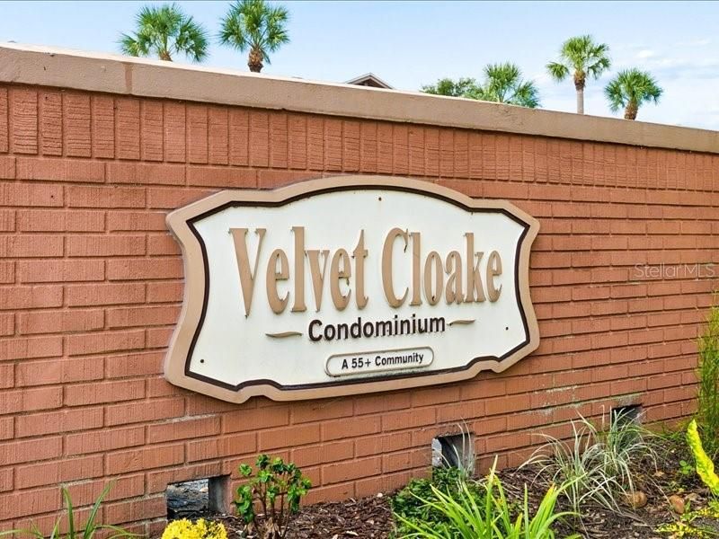 650 Pinellas Point Drive S, Unit 240, Saint Petersburg, FL 33705 Photo