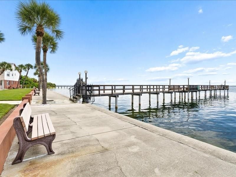 650 Pinellas Point Drive S, Unit 240, Saint Petersburg, FL 33705 Photo