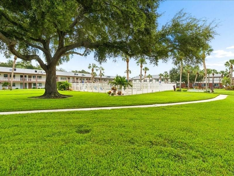 650 Pinellas Point Drive S, Unit 240, Saint Petersburg, FL 33705 Photo