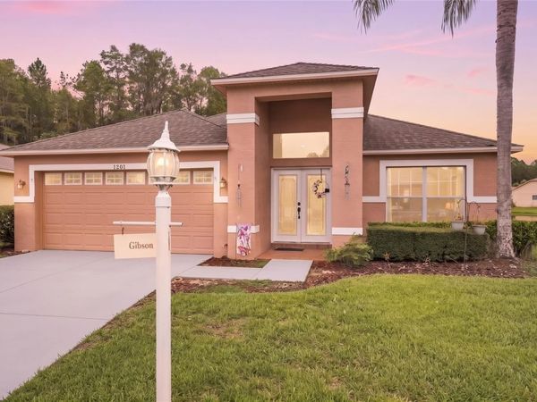 1201 DUSTAN PLACE , TRINITY, FL 34655