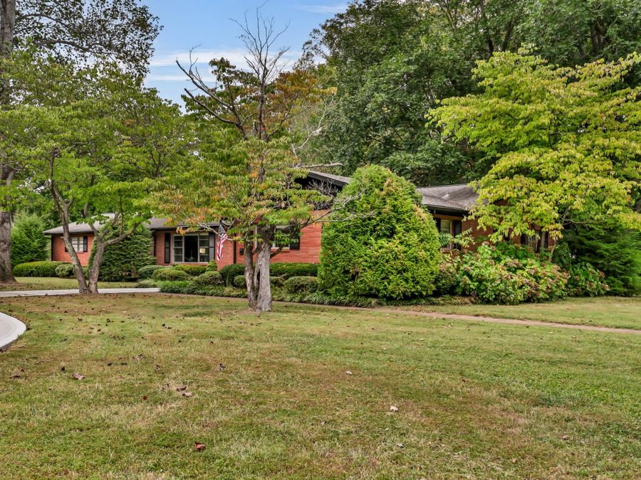 Property Image 58