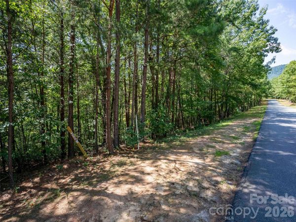 Lot 2010 Deep Gap Farm None W, Mill Spring, NC 28756