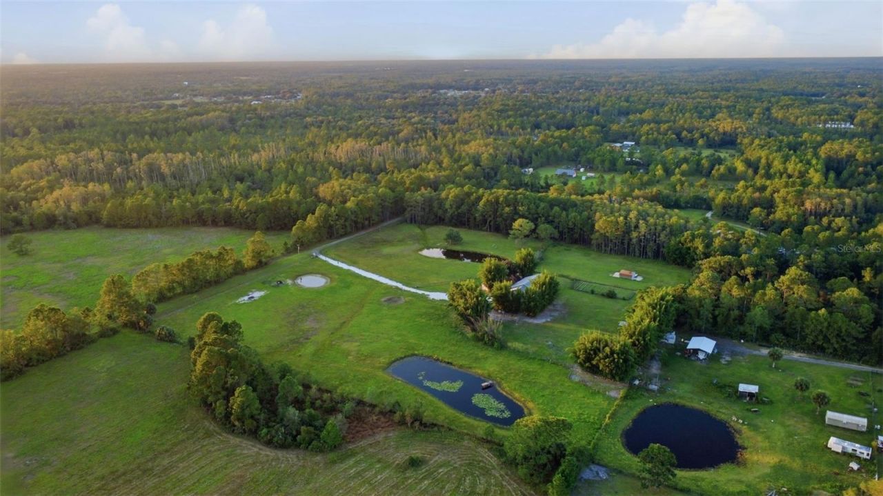 615 Deer Pond Road , Osteen, FL 32764 Photo