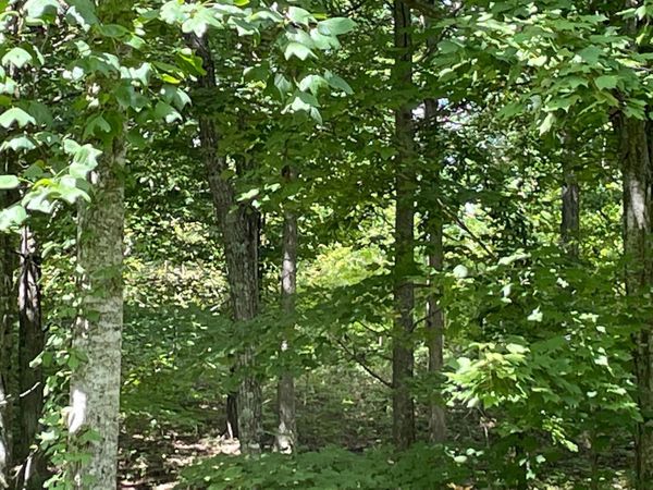 0 Roaring Creek Road , Unit 296, Dunlap, TN 37327