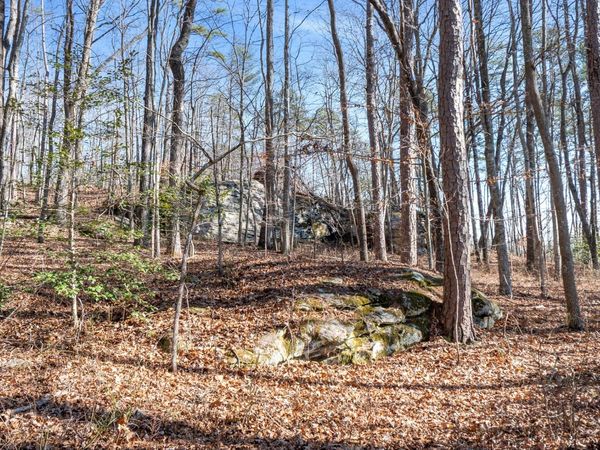 0 Tall Tree Trail , Unit 406, Dunlap, TN 37327