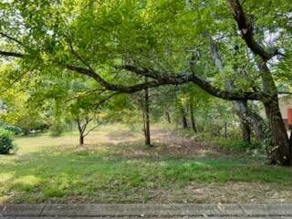 113 Bee Branch Boulevard , Signal Mountain, TN 37377 Main Photo