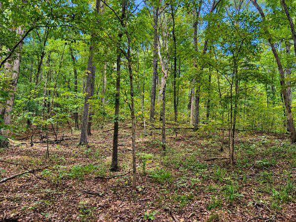 0000 Perry Road , Golconda, IL 62938