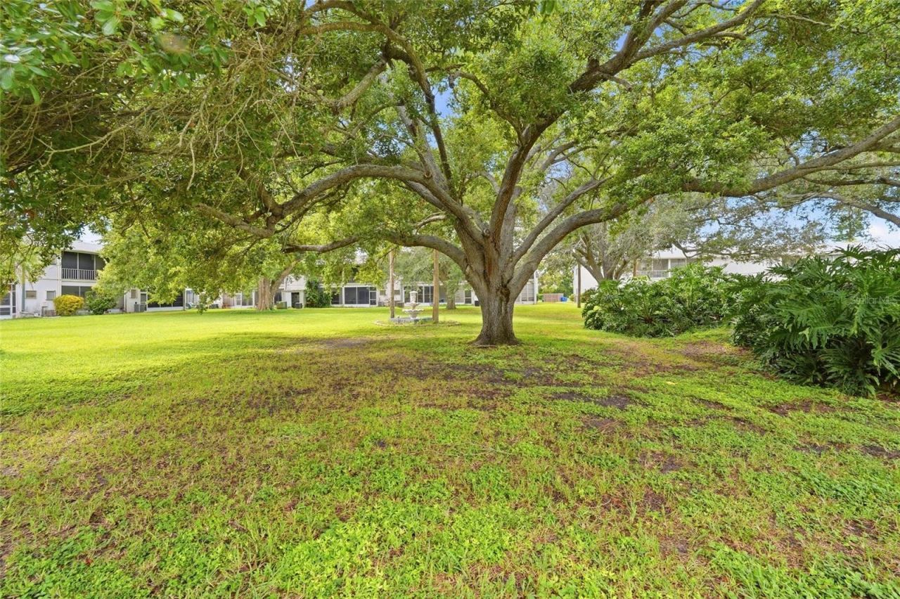 4506 3rd Street Circle W, Unit 256, Bradenton, FL 34207 Photo