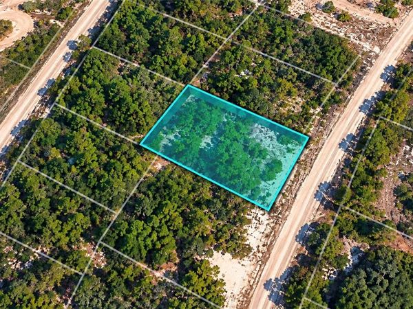 316 DARGEN DRIVE , LAKE PLACID, FL 33852