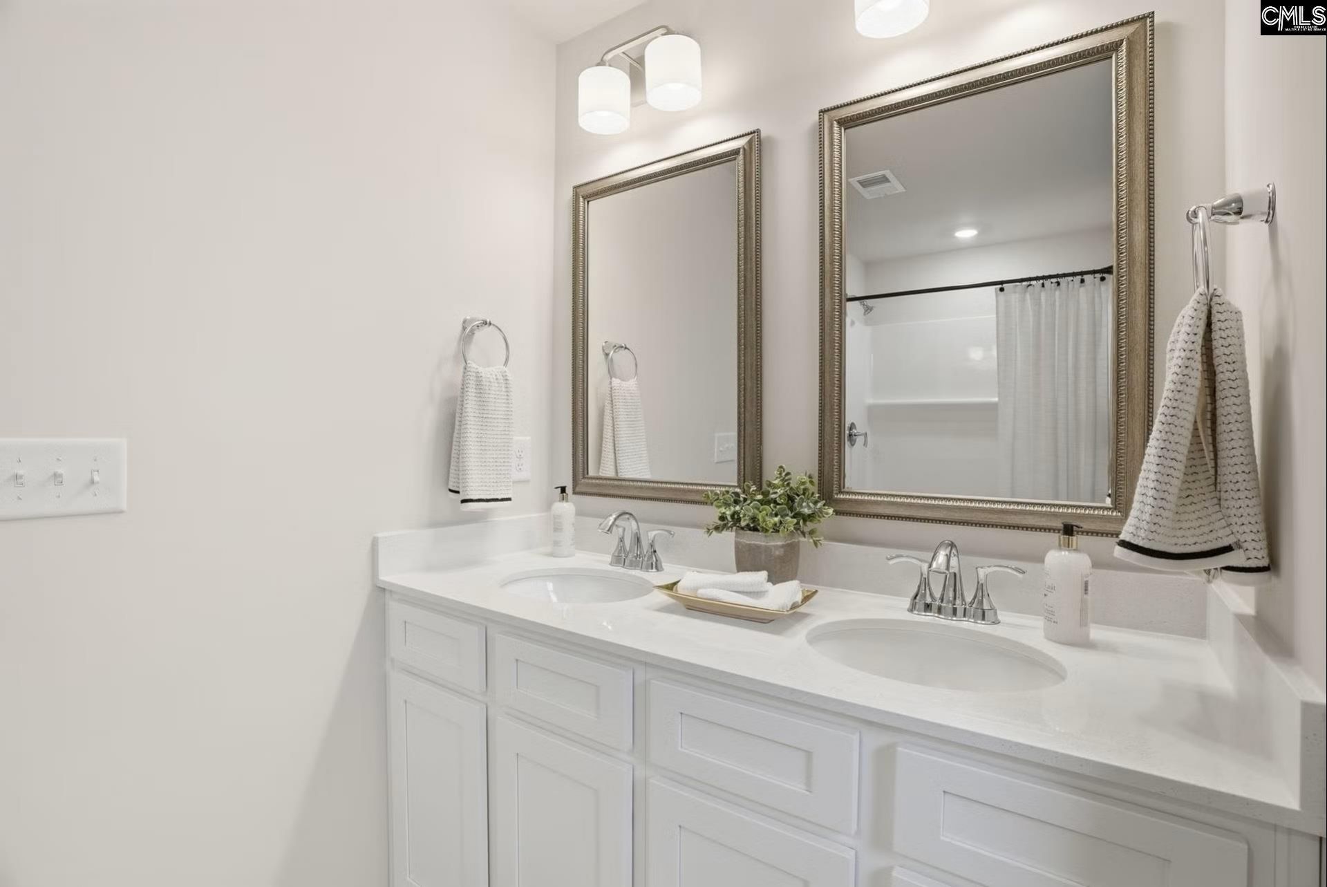 137 New Spring Way Photo 20