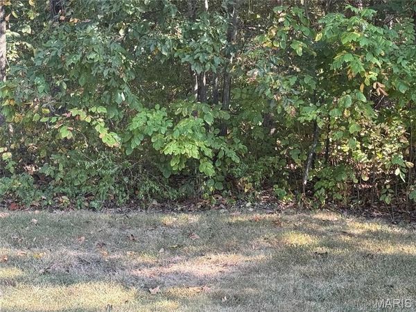 0B St. Francois , Bonne Terre, MO 63628