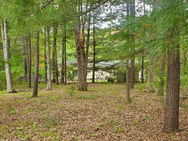 V/L Oakwood Avenue, Prudenville, MI 48651