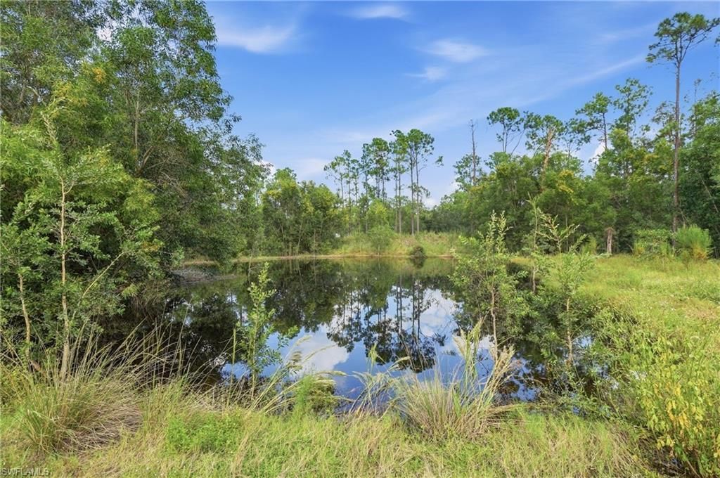 18125 Dykes Rd, Estero, FL 33928 Photo