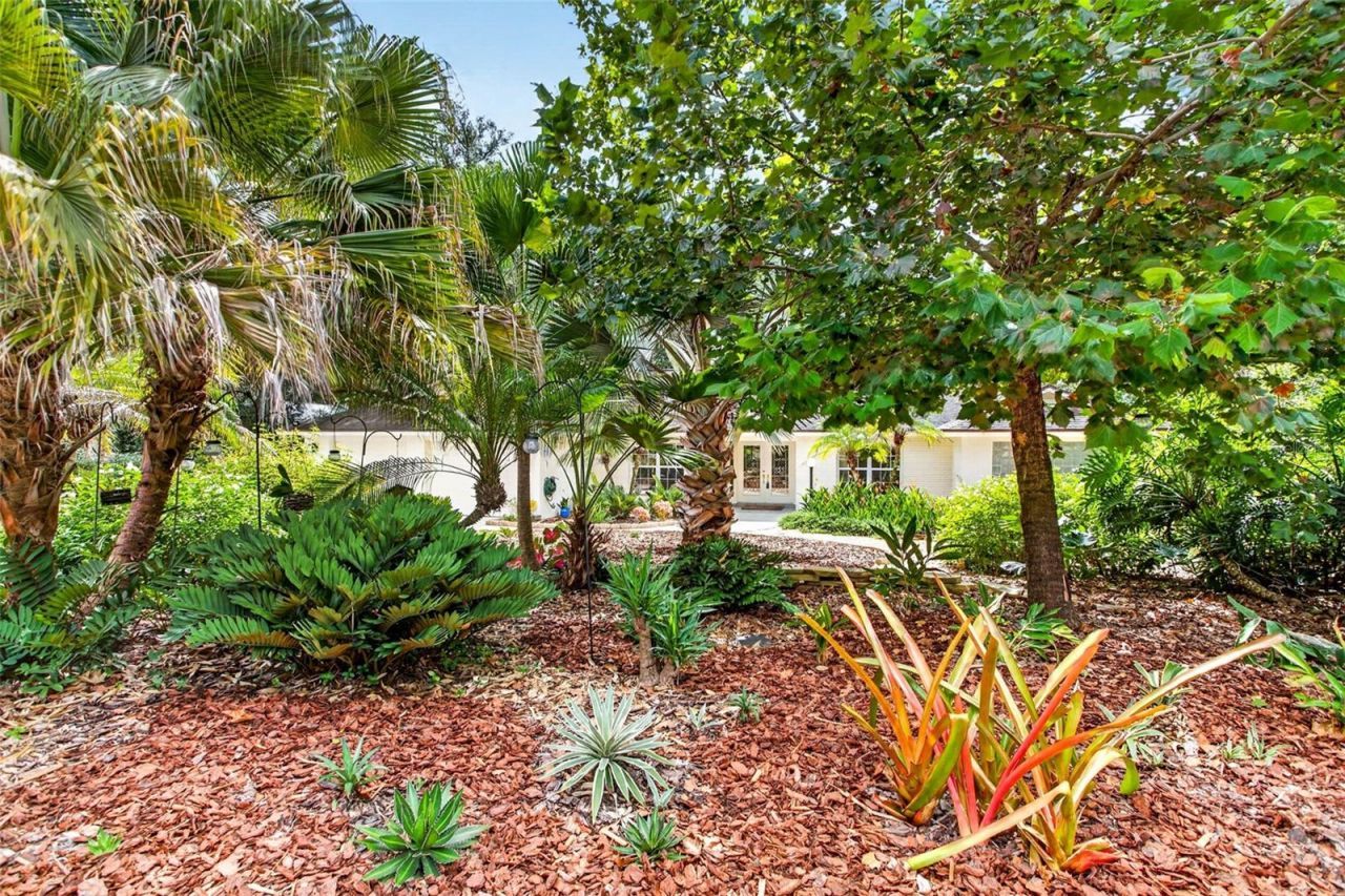 513 Garrard Drive, Temple Terrace, FL 33617 Photo