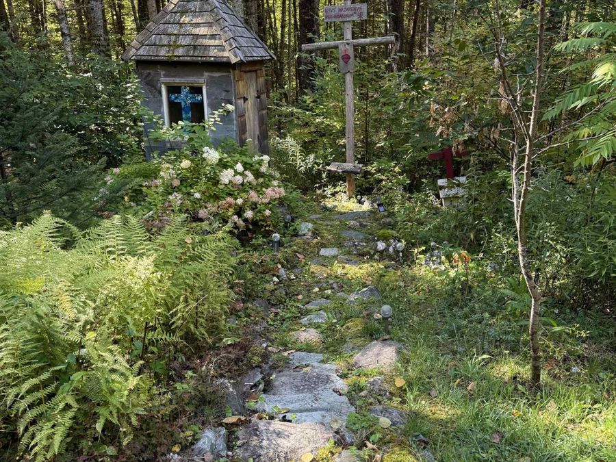Property Image 13