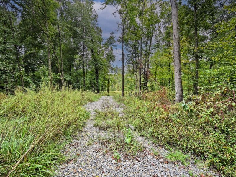 2591 Moler Road, Wayne Township, OH 45122 Photo 3