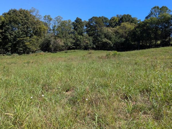 10816 Richland Rd, Mascot, TN 37806