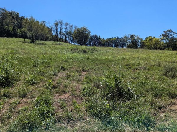 0000 Richland Road Rd, Mascot, TN 37806