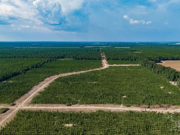LOT 87 Posie Forest Rd, Milton, FL 32570