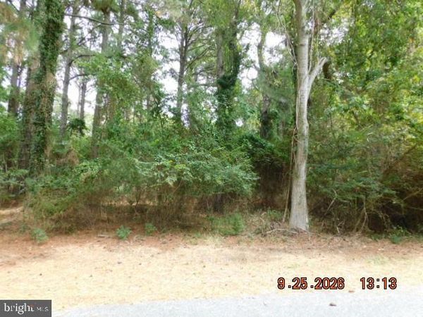 100 ROLAND PARKS ROAD, CHANCE, MD 21821