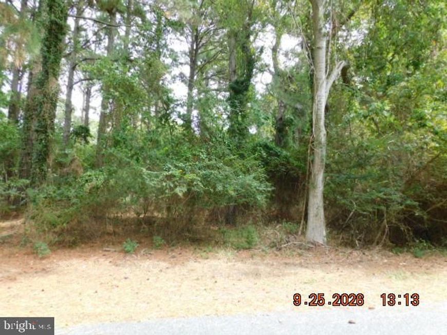 100 Roland Parks Road, Chance, MD 21821 Main Photo