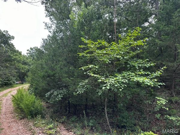 TBD Spring Lake Dr Avenue , Warsaw, MO 65355