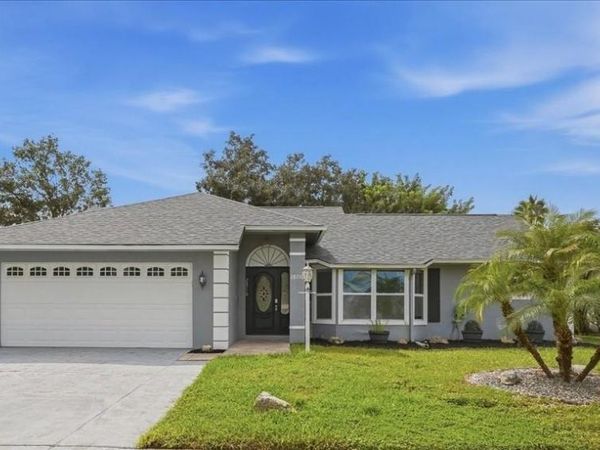 28710 TWINBROOK LANE , WESLEY CHAPEL, FL 33543