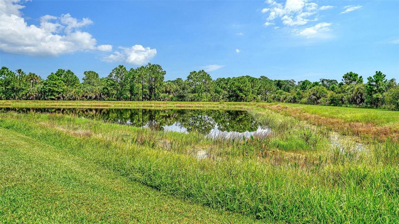12422 Wood Fern Court, Sarasota, FL 34238 Photo