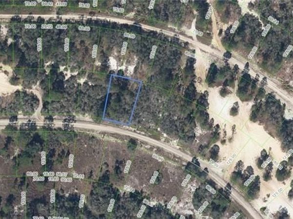 408 Sunshine Ave , Lake Placid, FL 33852
