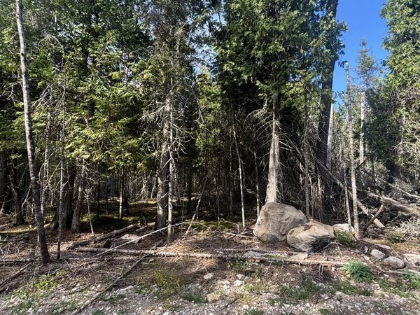 TBD Shiawassee Trl Lot 128, Hessel, MI 49745